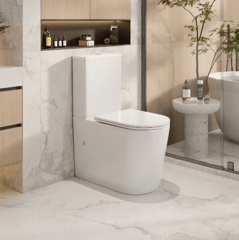 Pani Back To Wall Toilet Suite