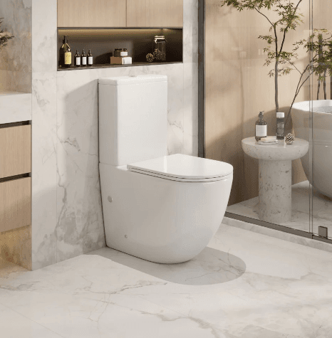 Norton Back To Wall Toilet Suite